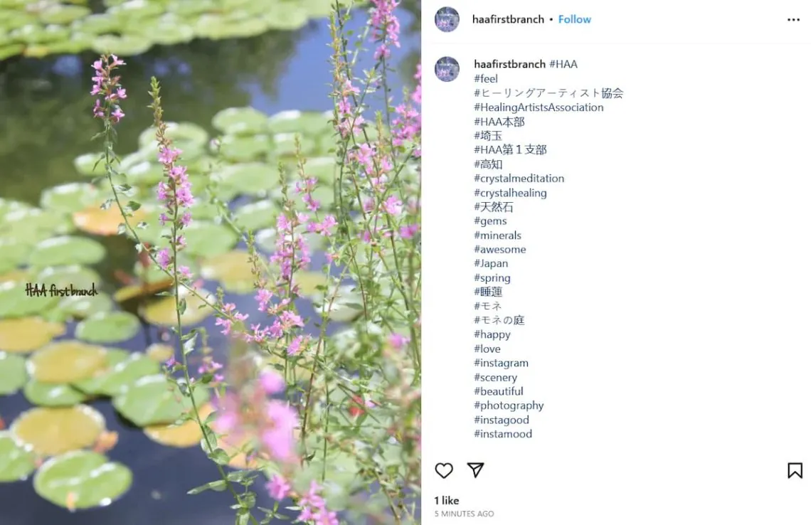 too many Instagram hashtags
